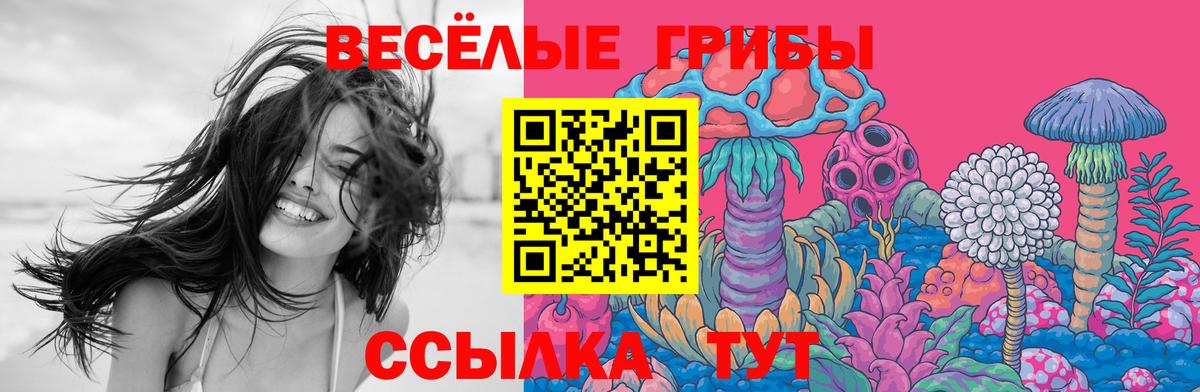 Псилоцибиновые грибы ЛСД  Вход с VPN  Новокуйбышевск 