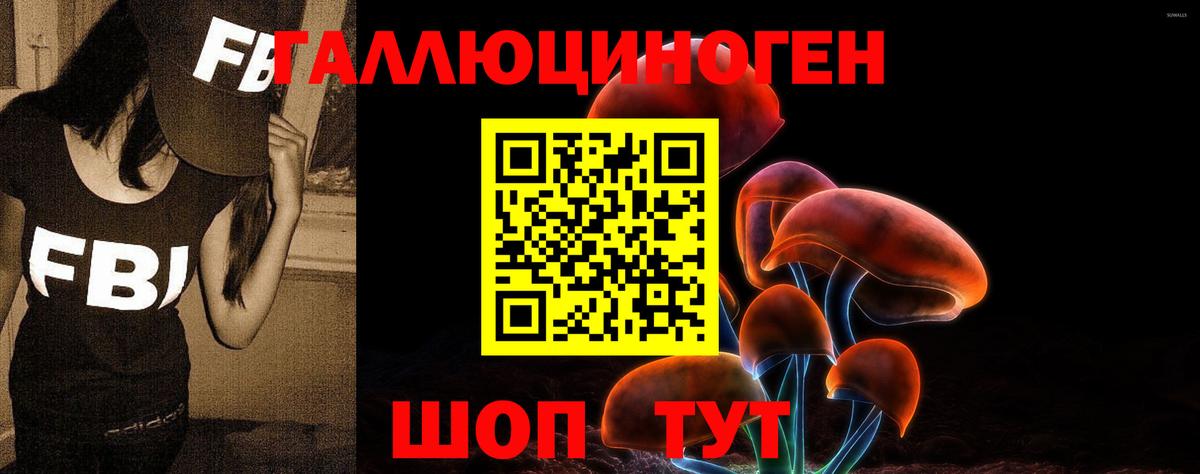 Псилоцибиновые грибы прущие грибы Новокуйбышевск